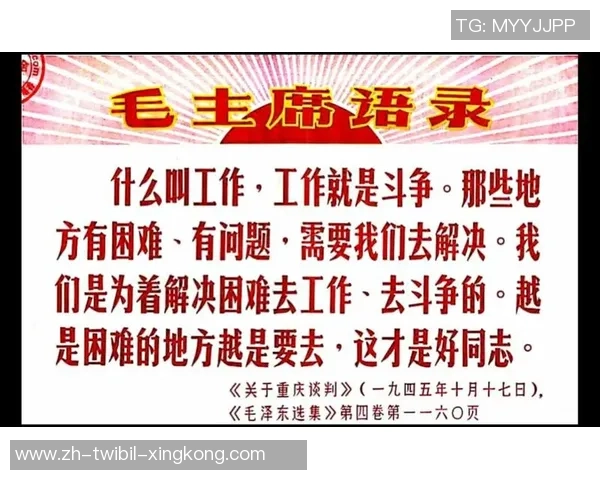 斗争斗争，共创美好未来